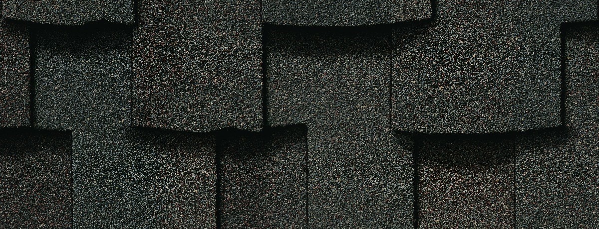 Northern Pacific Roofing Images